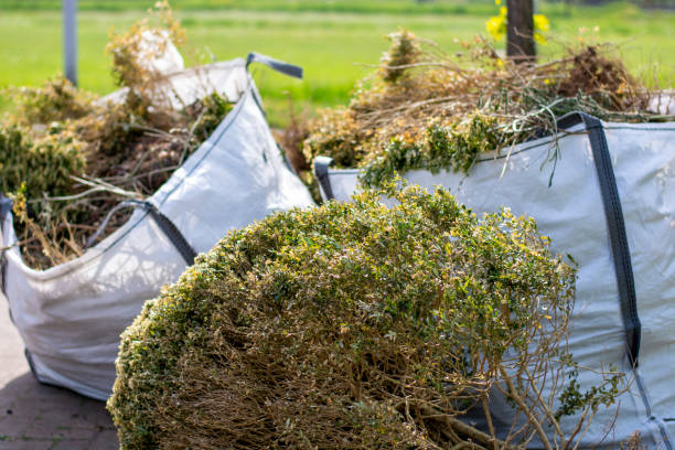 Debris Removal in Homeland Park, SC